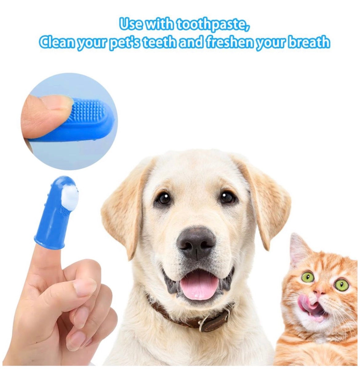 6-Piece Complete Dog Grooming Kit-Professional Home Grooming Set